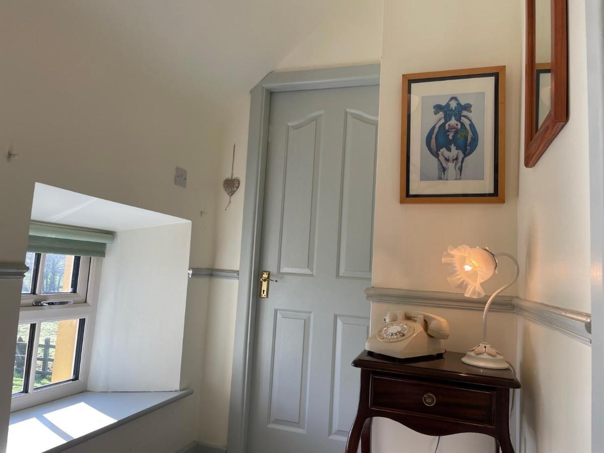 Mai'S Cottage Suite - Charming Holiday Rental Kilmallock Exterior photo